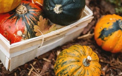 PR-Ideen für den Oktober – von Herbstküche bis Frühjahrssport