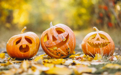 PR-Ideen für den Oktober – von Herbstküche bis Frühjahrssport