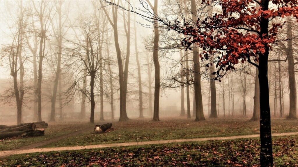 PR-Ideen für den Januar – Frisch ins neue Jahr starten
