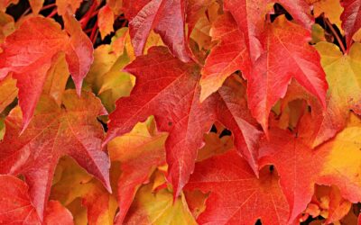 PR-Ideen für den November – Mit Schwung in den Winter