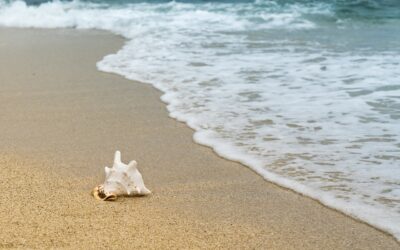 PR-Ideen für den Juli: Urlaub, Sonne, Grillsaison
